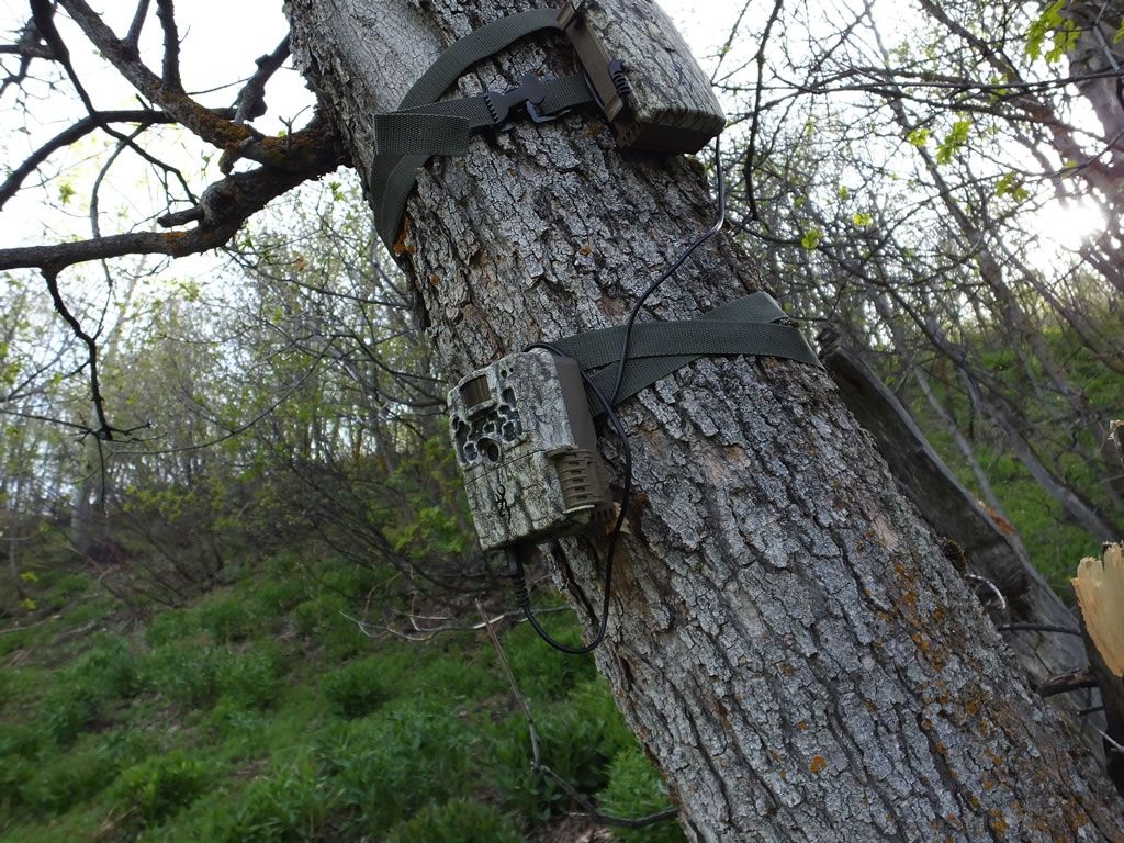 Browning strike trail camera review
