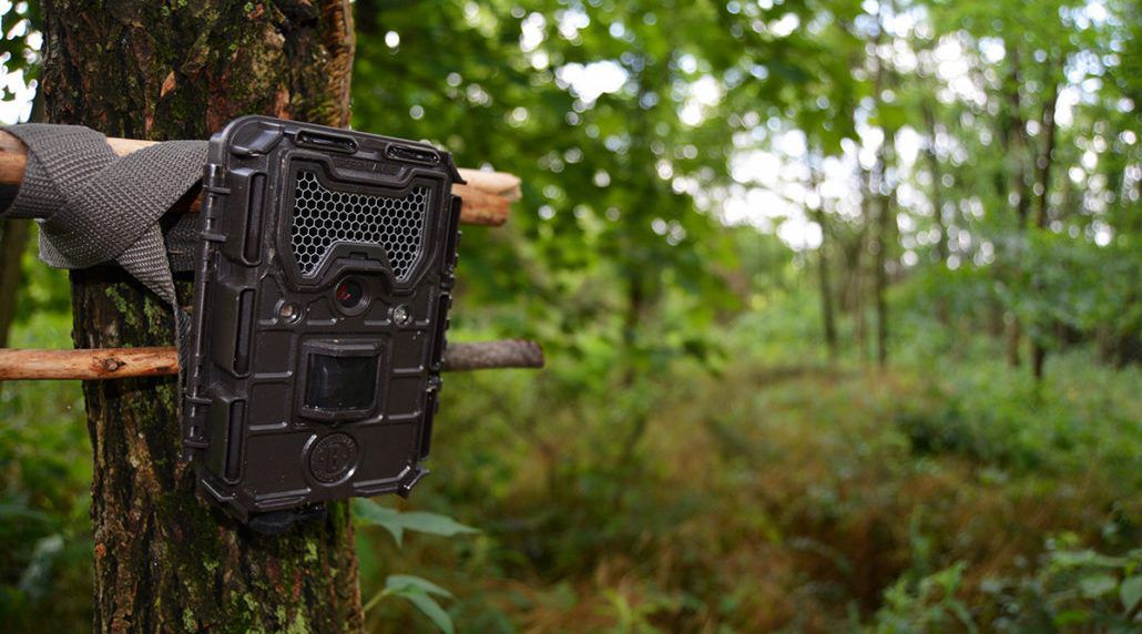 Why Do We Need A Trail Camera
