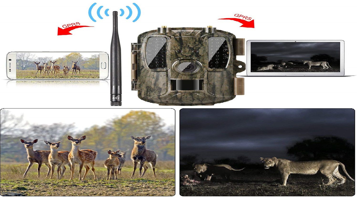 Ancheer 4G Wireless Trail Game Camera