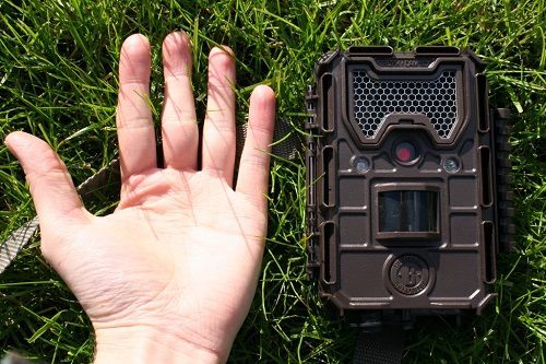 Bushnell Trophy Essential E2 Trail Camera Review