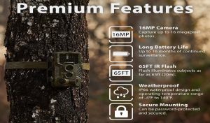 REXING Woodlens H1 HD 16MP Trail Game Camera Review
