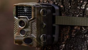 REXING Woodlens H1 HD 16MP Trail Camera Review