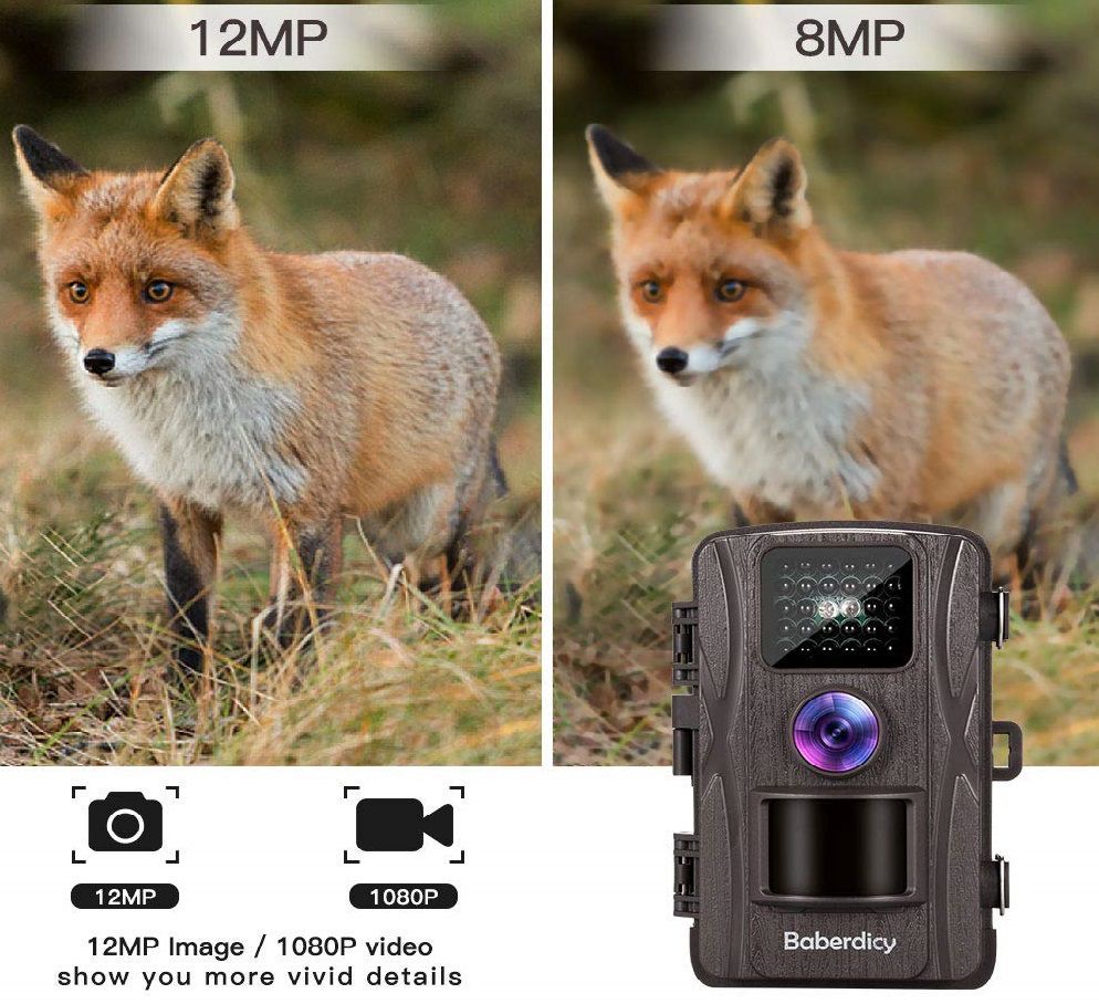 Baberdicy 12MP Wildlife Trail Camera Review