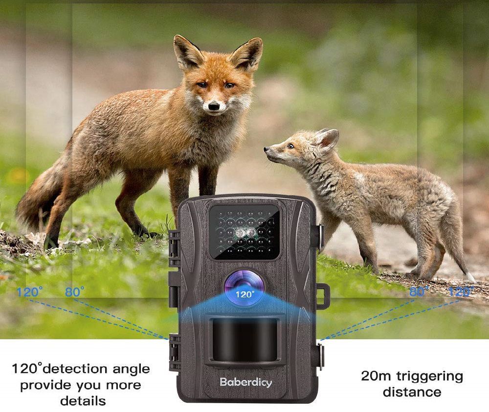 Baberdicy 12MP Wildlife Trail Camera