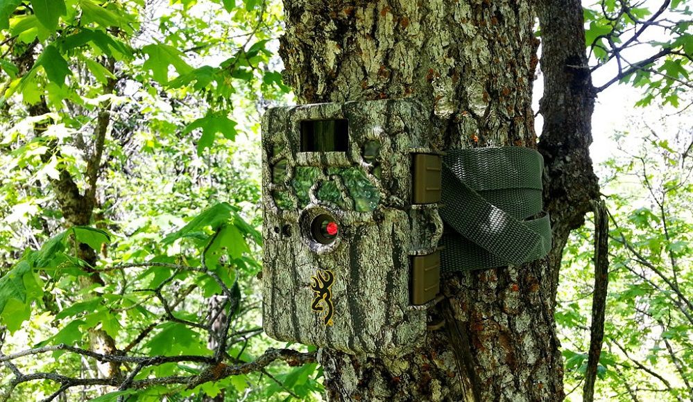 Best Trail Camera Uses