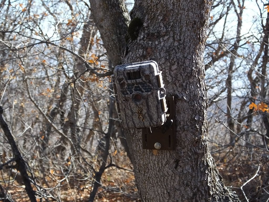 Types Of Trail Camera