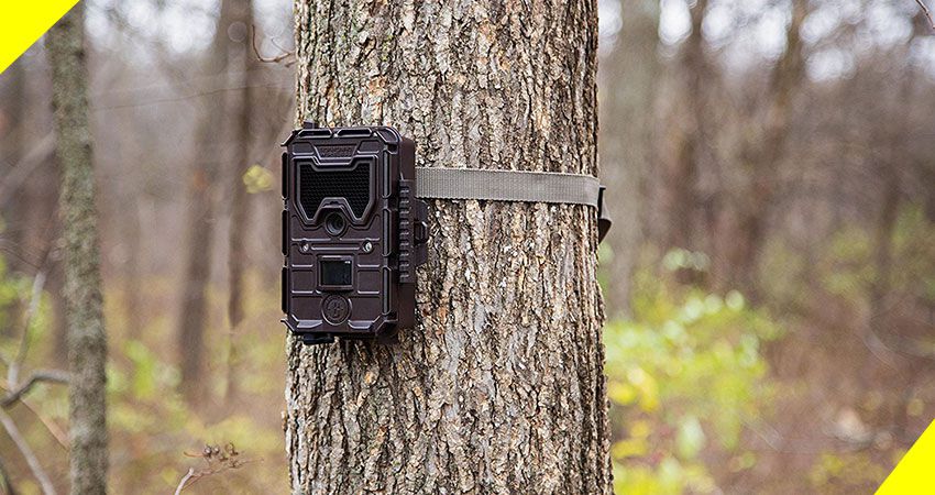 Bushnell Trophy Trail Cam Review