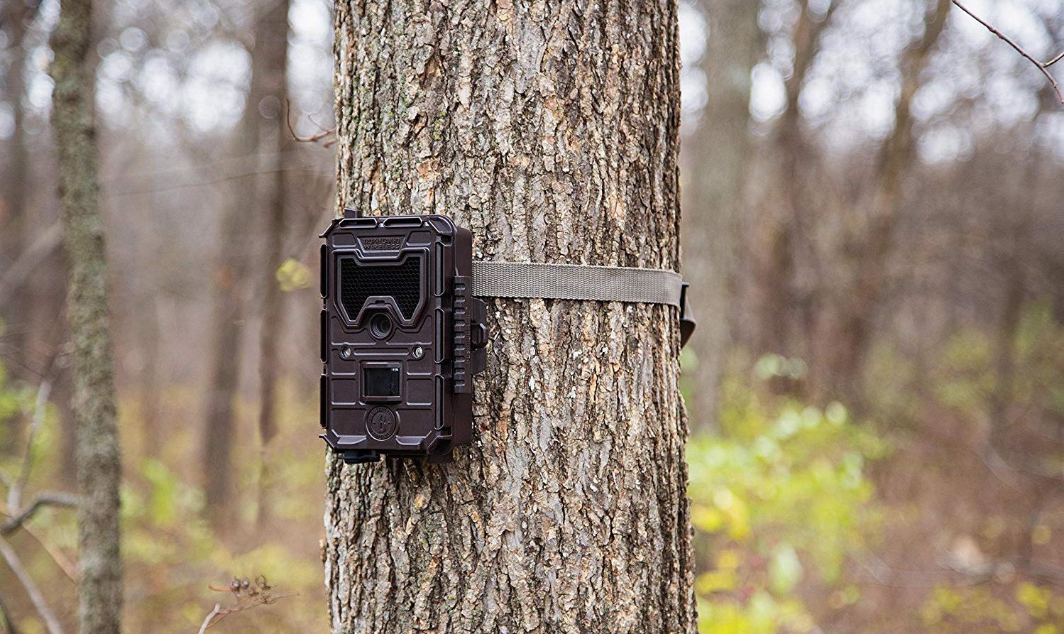 Bushnell 119599C2 Trophy Wireless Trail Camera Complete Review 