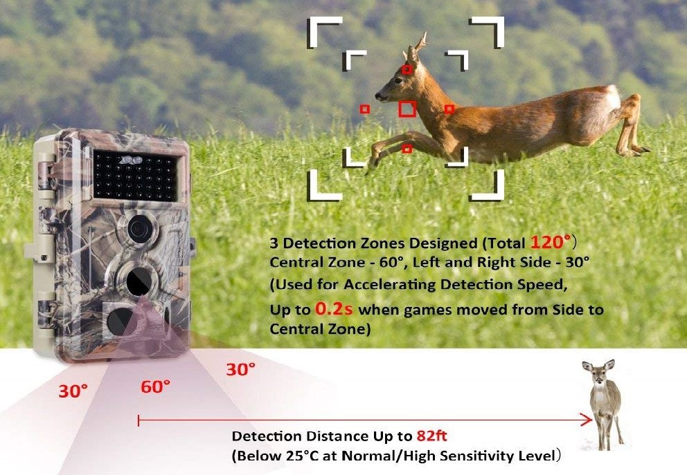Best Trail Cam Buying Guide