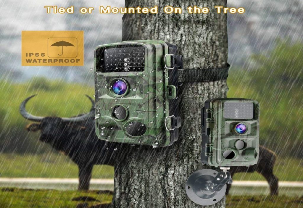 Best Trail Camera 2020 - Hunting & Wildlife Photography  