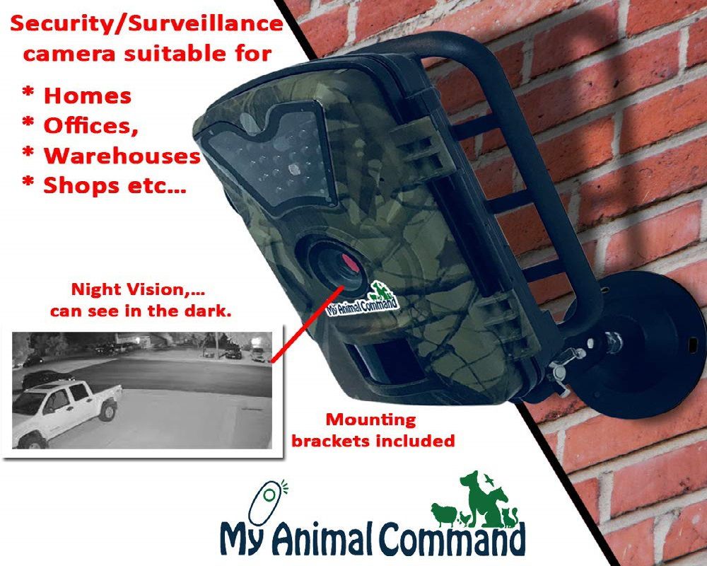 My Animal Command Outdoor 12MP Trail Cam Review