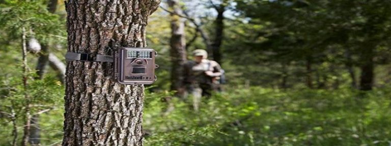 Must Have Trail Camera Features