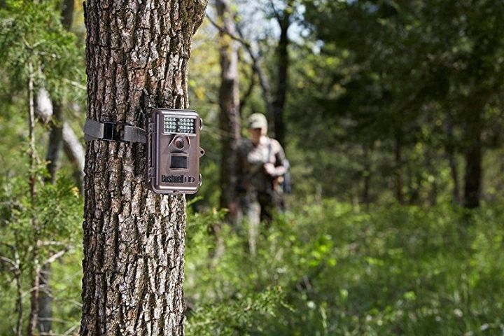 Features Of Trail Camera