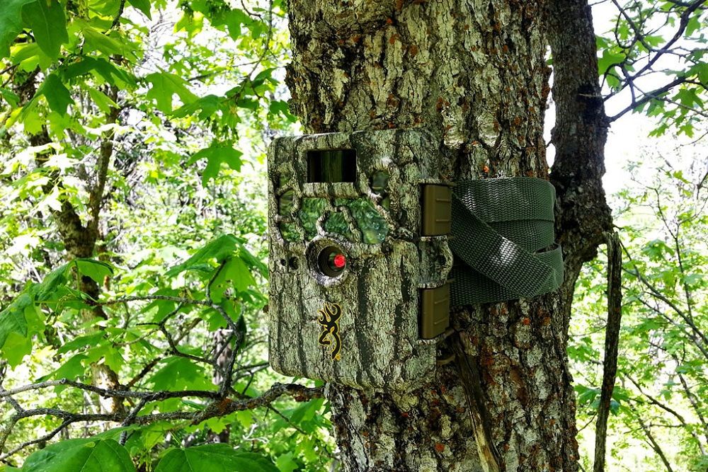 Trail Camera Features