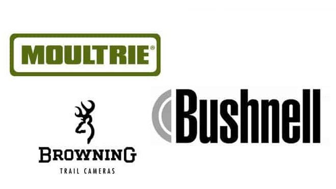 Top Brands Of Trail Camera