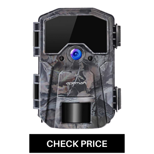 The 12 Best Trail Camera Reviews in 2020 [Buying Guide] – Reviews Storm